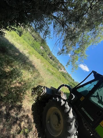 Débroussaillage dans le Vaucluse