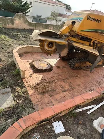 Machine utilisée pour le dessouchage et le rognage dans les petits espaces à Marseille