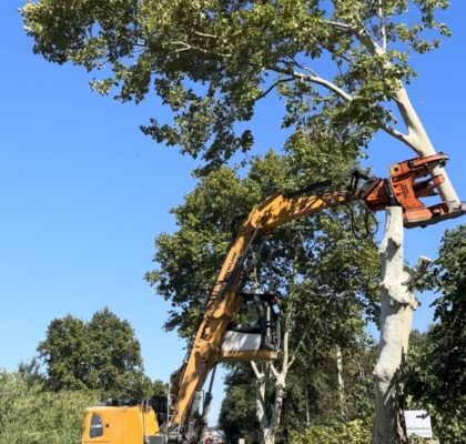 Machine utilisée pour l'abattage d'arbre à Marseille et aux alentours