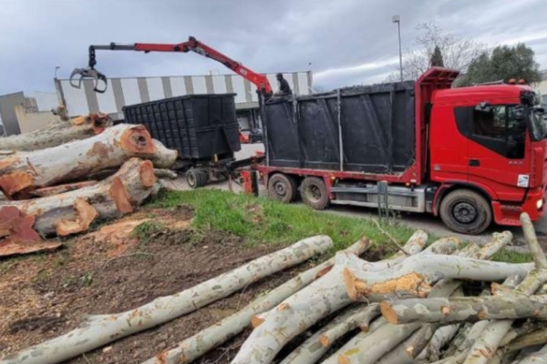 Camion pour Evacuation bois et branches