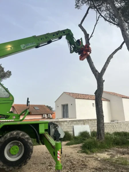 Pelle sécateur en train d'élaguer un arbre